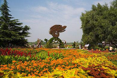 这群巴西人开发了一款萌物肉鸽 19元就能4人联机